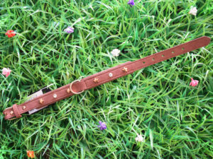 Collar Estrellitas