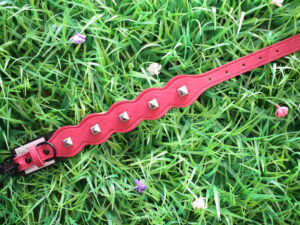 Collar Tachas N°3