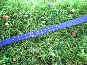 Collar Tachas N°4